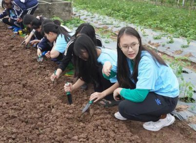 Học sinh thích thú trải nghiệm du lịch nông nghiệp ven đô