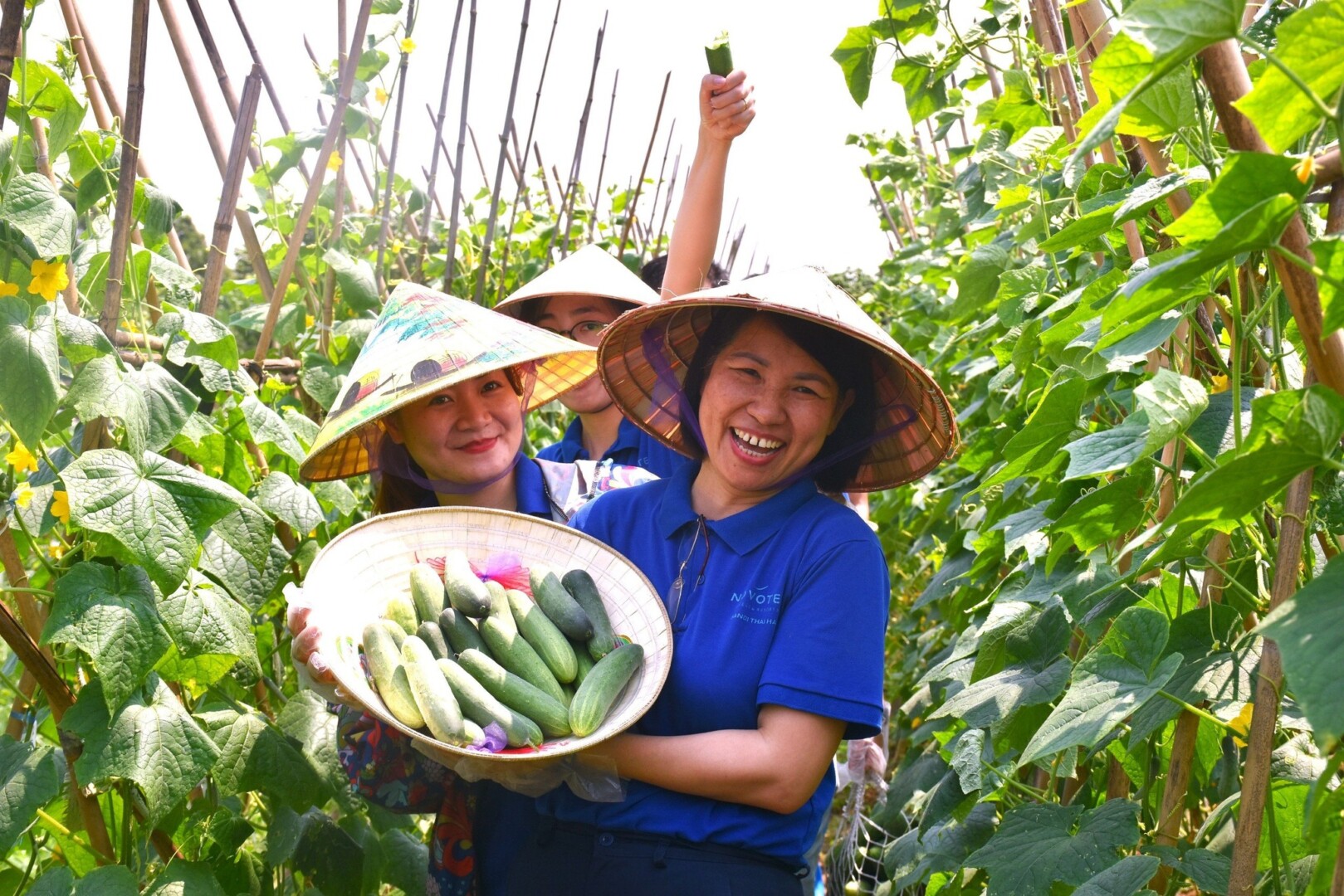 Công ty và các gia đình trải nghiệm tại Giang Biên