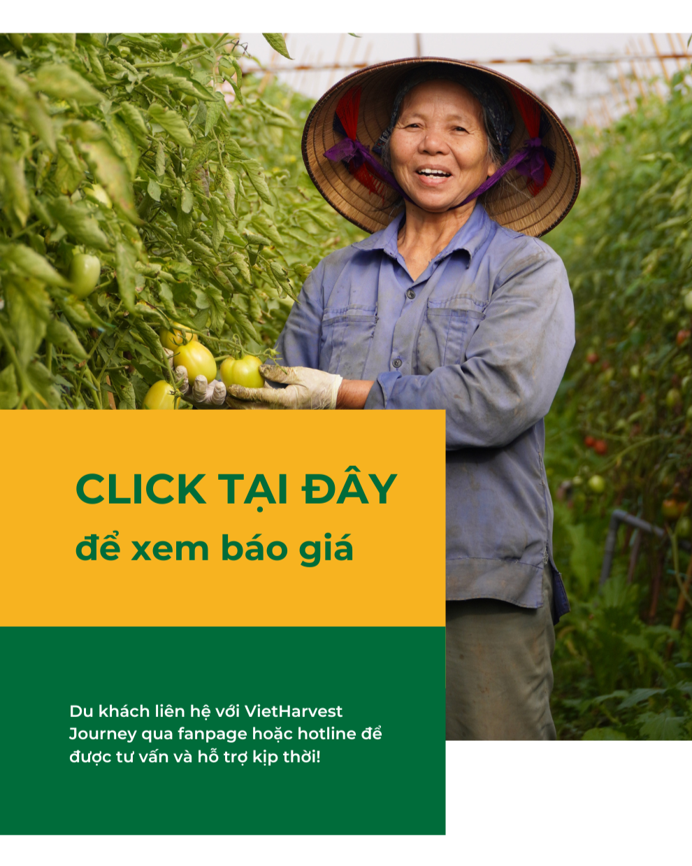 Click Tại đây