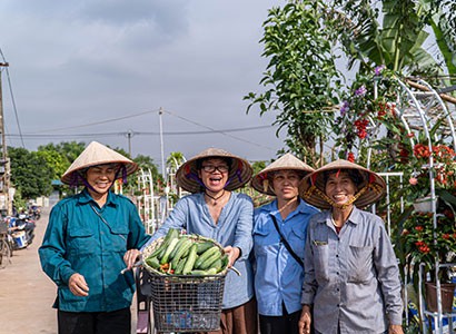 Thu hoạch rau củ tại Giang Biên