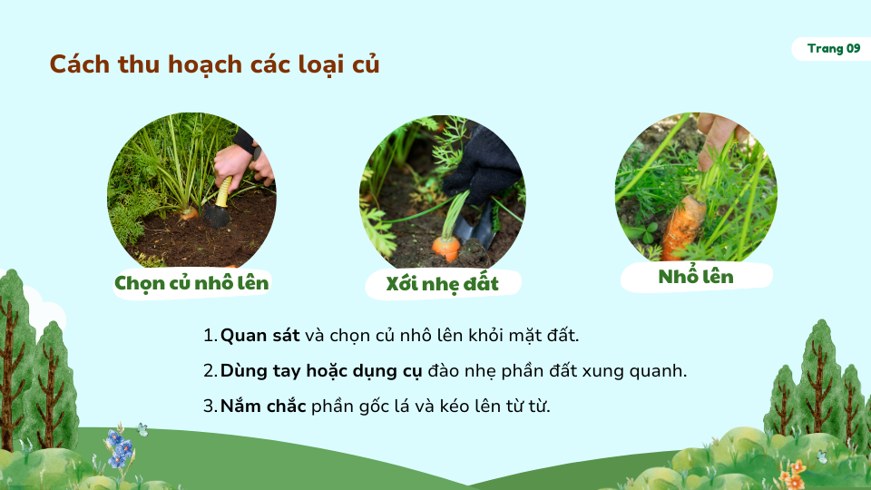 Lớp Học Bác Nông Dân Bài 02